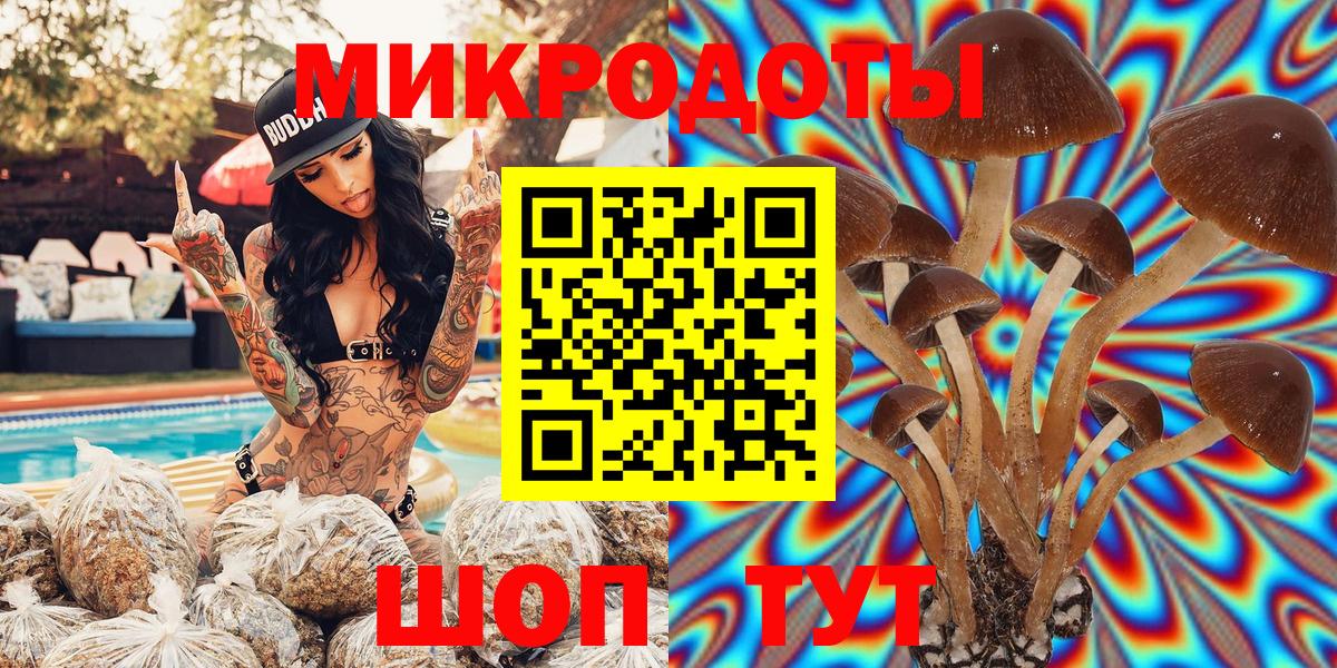 Псилоцибиновые грибы Psilocybe  купить   Тула  Вход с VPN 